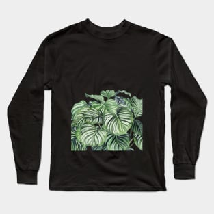 Calathea Orbifolia Leaves Long Sleeve T-Shirt